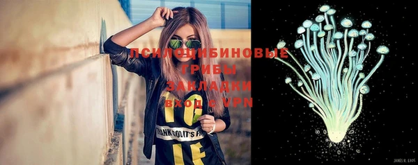 spice Кукмор
