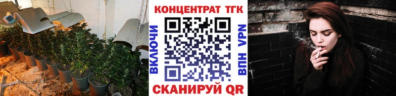 ТГК концентрат  Александровское 